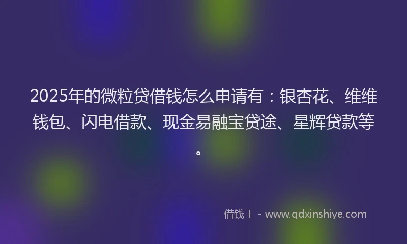2025年的微粒贷借钱怎么申请有：银杏花、维维钱包、闪电借款、现金易融宝贷途、星辉贷款等。
