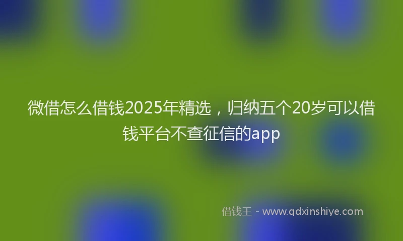 微借怎么借钱2025年精选，归纳五个20岁可以借钱平台不查征信的app