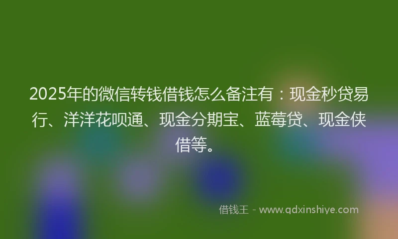 2025年的微信转钱借钱怎么备注有：现金秒贷易行、洋洋花呗通、现金分期宝、蓝莓贷、现金侠借等。