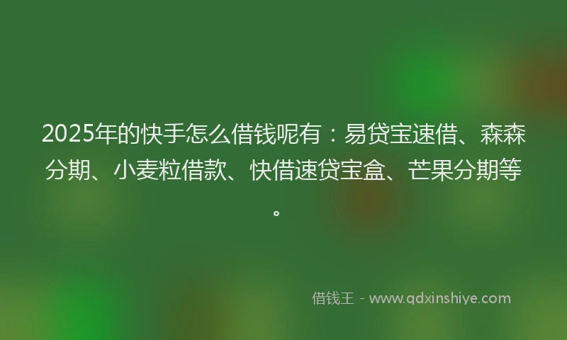 2025年的快手怎么借钱呢有：易贷宝速借、森森分期、小麦粒借款、快借速贷宝盒、芒果分期等。