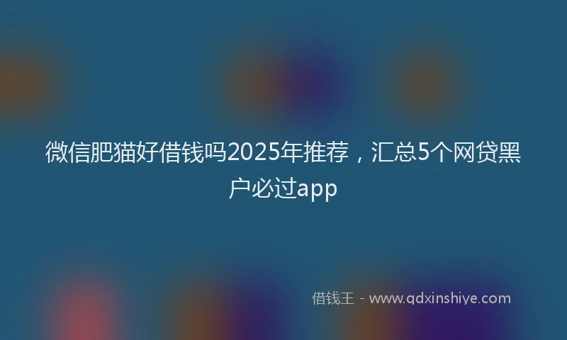 微信肥猫好借钱吗2025年推荐，汇总5个网贷黑户必过app