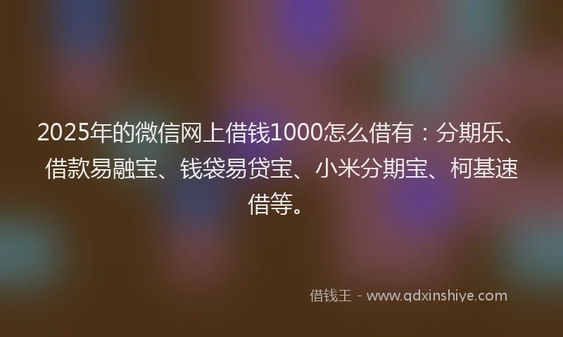 2025年的微信网上借钱1000怎么借有：分期乐、借款易融宝、钱袋易贷宝、小米分期宝、柯基速借等。