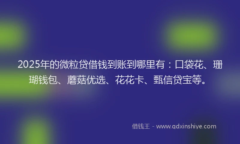 2025年的微粒贷借钱到账到哪里有：口袋花、珊瑚钱包、蘑菇优选、花花卡、甄信贷宝等。