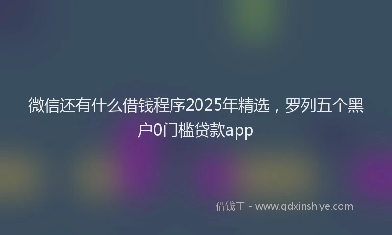 微信还有什么借钱程序2025年精选，罗列五个黑户0门槛贷款app