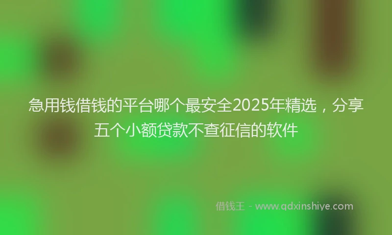 急用钱借钱的平台哪个最安全2025年精选，分享五个小额贷款不查征信的软件