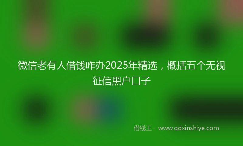 微信老有人借钱咋办2025年精选，概括五个无视征信黑户口子