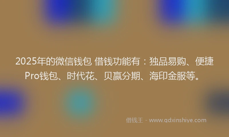 2025年的微信钱包 借钱功能有：独品易购、便捷Pro钱包、时代花、贝赢分期、海印金服等。