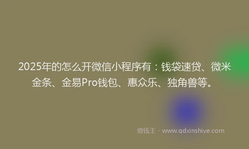 2025年的怎么开微信小程序有：钱袋速贷、微米金条、金易Pro钱包、惠众乐、独角兽等。