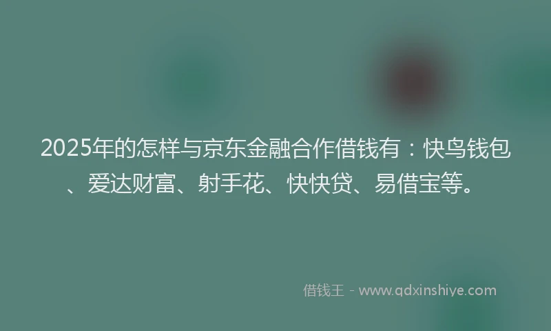 2025年的怎样与京东金融合作借钱有：快鸟钱包、爱达财富、射手花、快快贷、易借宝等。