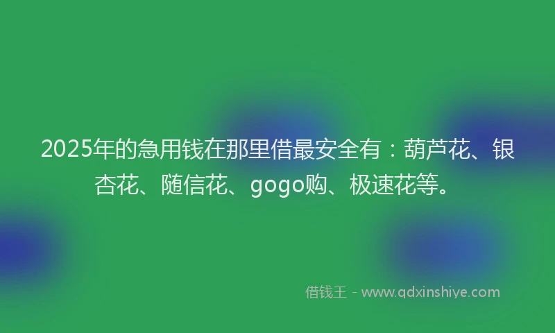 2025年的急用钱在那里借最安全有：葫芦花、银杏花、随信花、gogo购、极速花等。