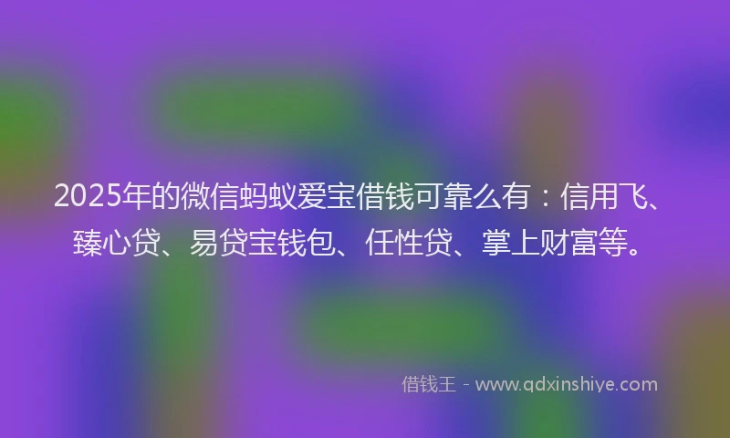 2025年的微信蚂蚁爱宝借钱可靠么有：信用飞、臻心贷、易贷宝钱包、任性贷、掌上财富等。