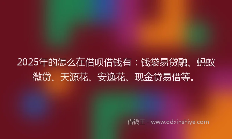 2025年的怎么在借呗借钱有：钱袋易贷融、蚂蚁微贷、天源花、安逸花、现金贷易借等。
