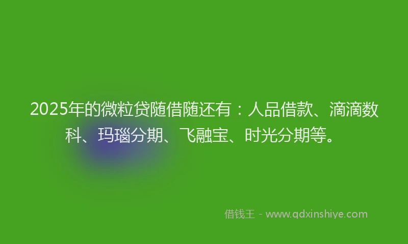 2025年的微粒贷随借随还有：人品借款、滴滴数科、玛瑙分期、飞融宝、时光分期等。