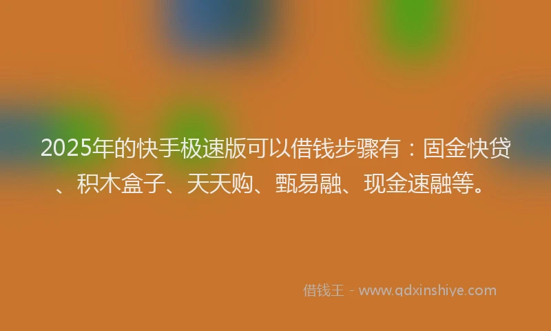2025年的快手极速版可以借钱步骤有：固金快贷、积木盒子、天天购、甄易融、现金速融等。