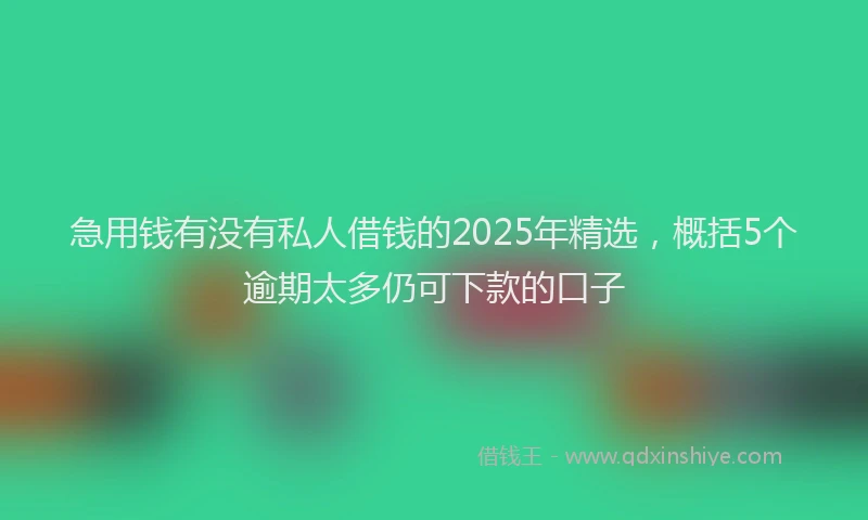 急用钱有没有私人借钱的2025年精选，概括5个逾期太多仍可下款的口子