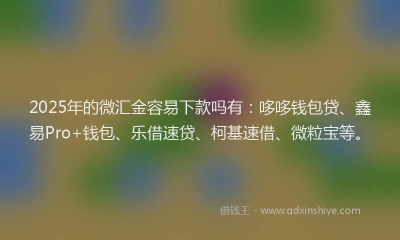 2025年的微汇金容易下款吗有：哆哆钱包贷、鑫易Pro+钱包、乐借速贷、柯基速借、微粒宝等。
