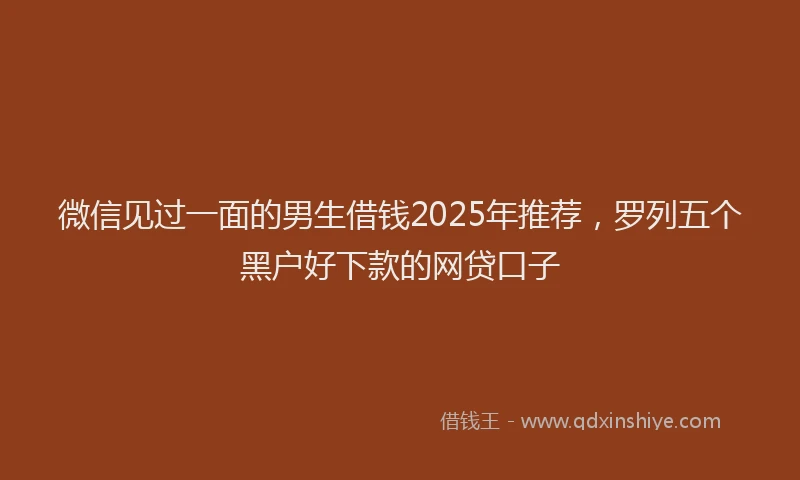 微信见过一面的男生借钱2025年推荐，罗列五个黑户好下款的网贷口子