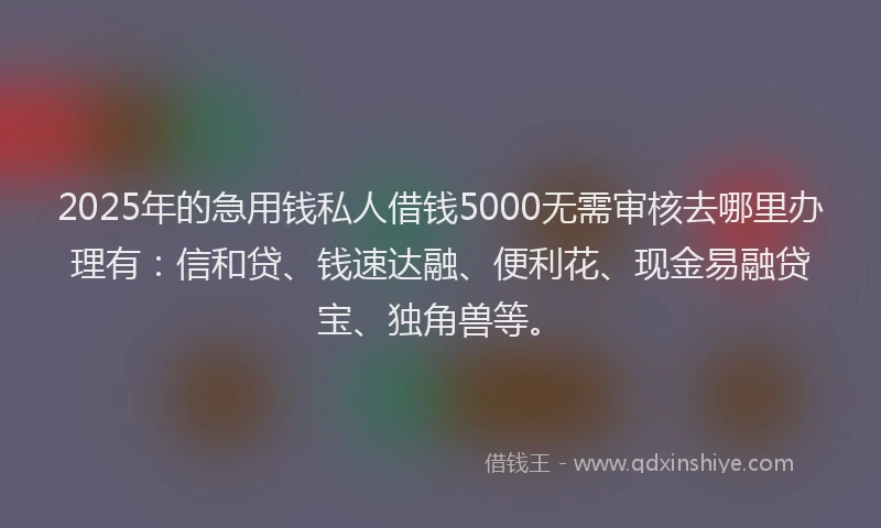 2025年的急用钱私人借钱5000无需审核去哪里办理有：信和贷、钱速达融、便利花、现金易融贷宝、独角兽等。
