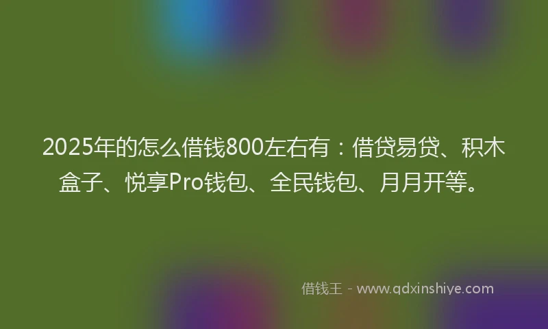 2025年的怎么借钱800左右有:借贷易贷、积木盒子、悦享Pro钱包、全民钱包、月月开等。