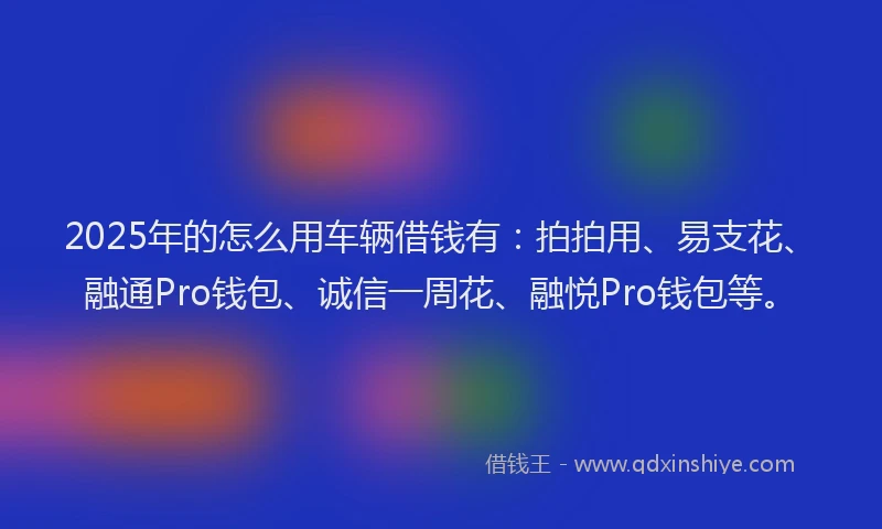 2025年的怎么用车辆借钱有：拍拍用、易支花、融通Pro钱包、诚信一周花、融悦Pro钱包等。