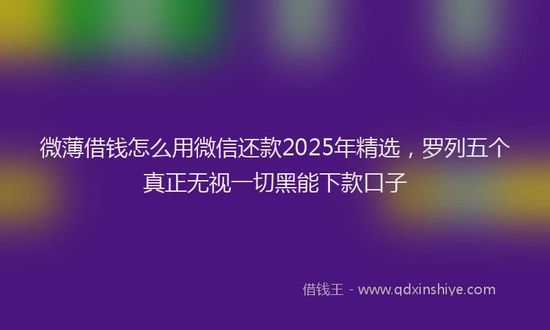 微薄借钱怎么用微信还款2025年精选，罗列五个真正无视一切黑能下款口子