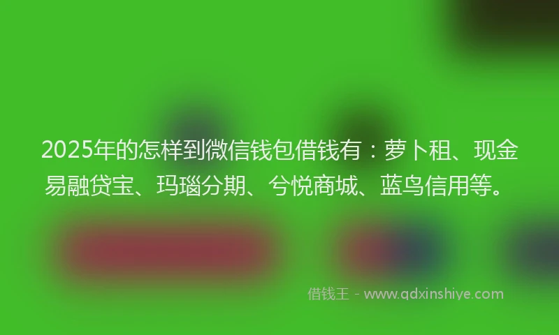 2025年的怎样到微信钱包借钱有：萝卜租、现金易融贷宝、玛瑙分期、兮悦商城、蓝鸟信用等。