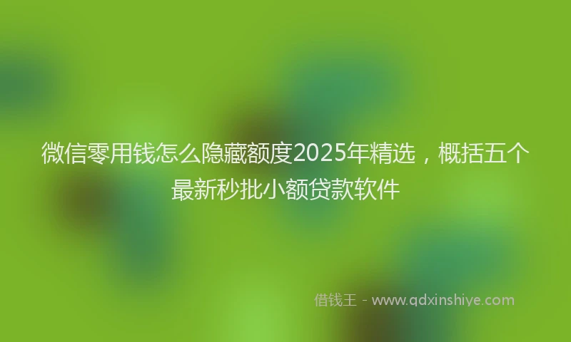 微信零用钱怎么隐藏额度2025年精选，概括五个最新秒批小额贷款软件