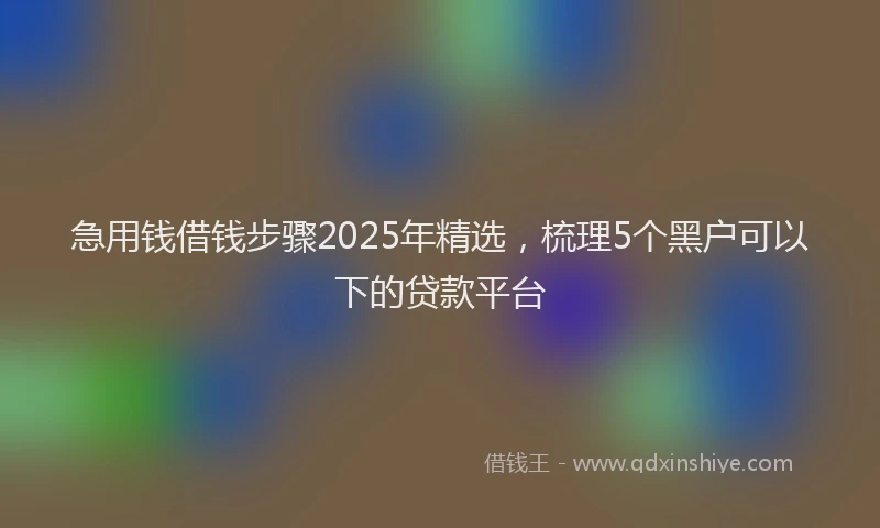 急用钱借钱步骤2025年精选，梳理5个黑户可以下的贷款平台