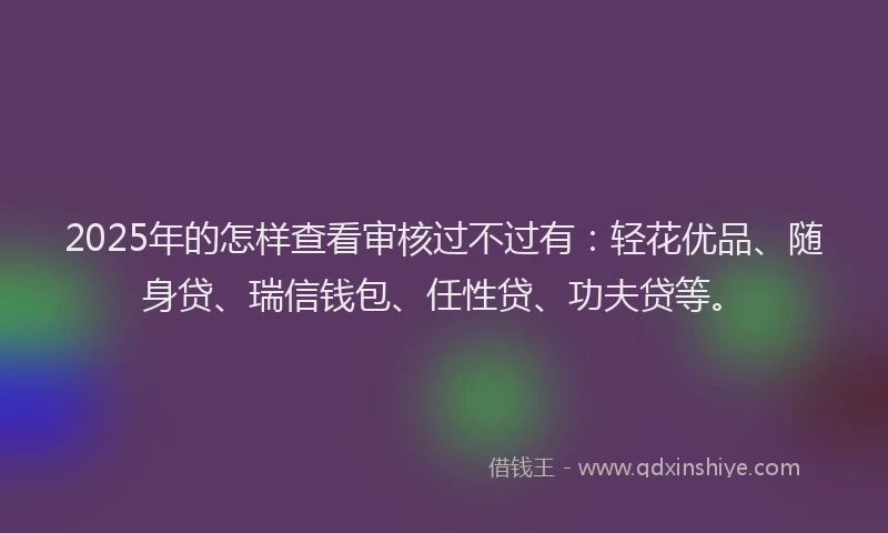 2025年的怎样查看审核过不过有：轻花优品、随身贷、瑞信钱包、任性贷、功夫贷等。