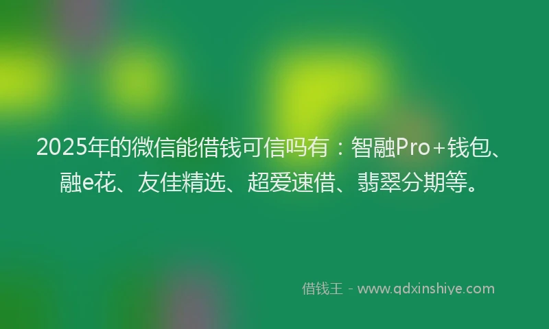 2025年的微信能借钱可信吗有：智融Pro+钱包、融e花、友佳精选、超爱速借、翡翠分期等。