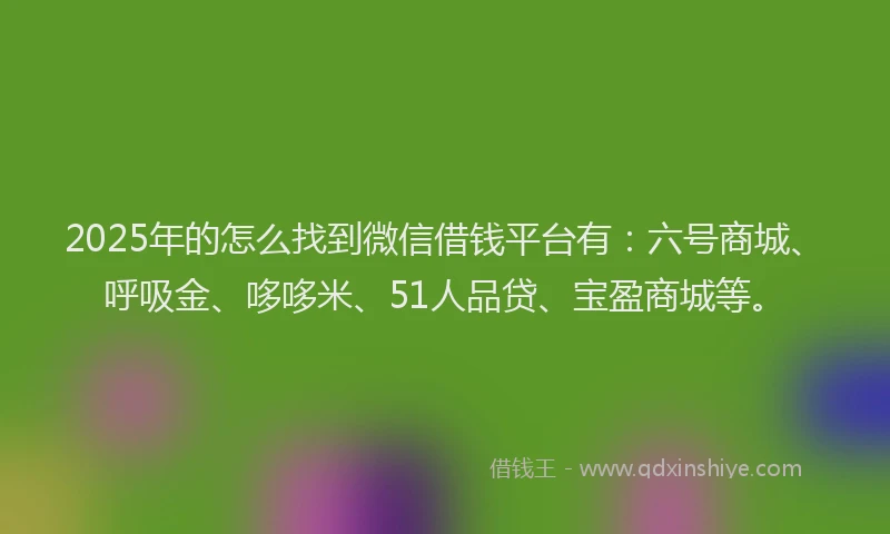 2025年的怎么找到微信借钱平台有：六号商城、呼吸金、哆哆米、51人品贷、宝盈商城等。