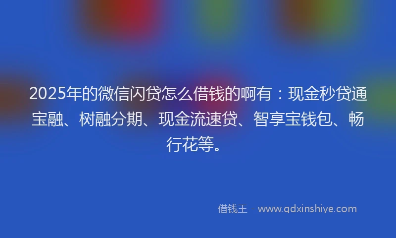2025年的微信闪贷怎么借钱的啊有：现金秒贷通宝融、树融分期、现金流速贷、智享宝钱包、畅行花等。