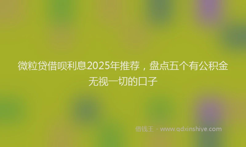 微粒贷借呗利息2025年推荐，盘点五个有公积金无视一切的口子