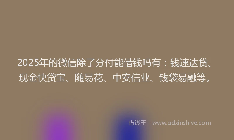 2025年的微信除了分付能借钱吗有：钱速达贷、现金快贷宝、随易花、中安信业、钱袋易融等。