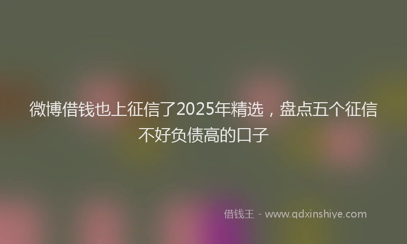 微博借钱也上征信了2025年精选，盘点五个征信不好负债高的口子