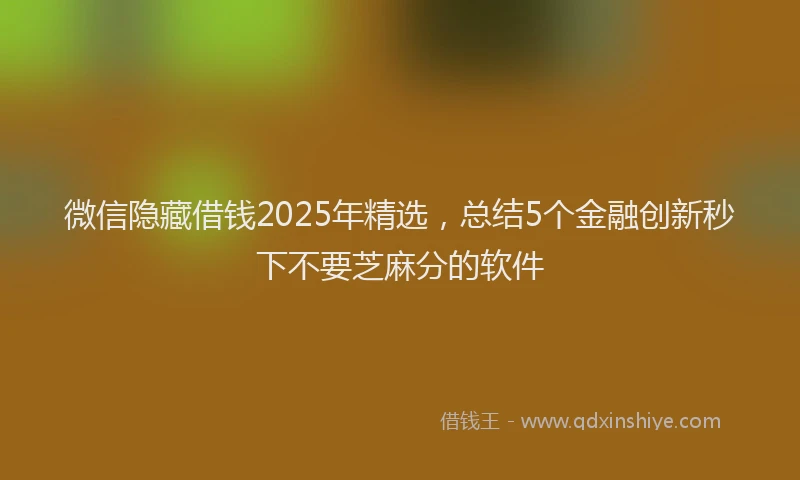 微信隐藏借钱2025年精选，总结5个金融创新秒下不要芝麻分的软件