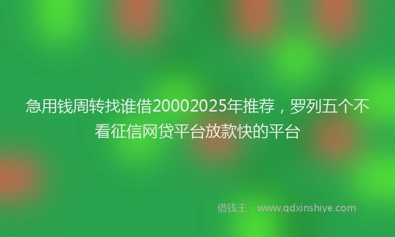 急用钱周转找谁借20002025年推荐，罗列五个不看征信网贷平台放款快的平台