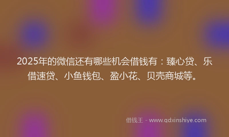 2025年的微信还有哪些机会借钱有：臻心贷、乐借速贷、小鱼钱包、盈小花、贝壳商城等。
