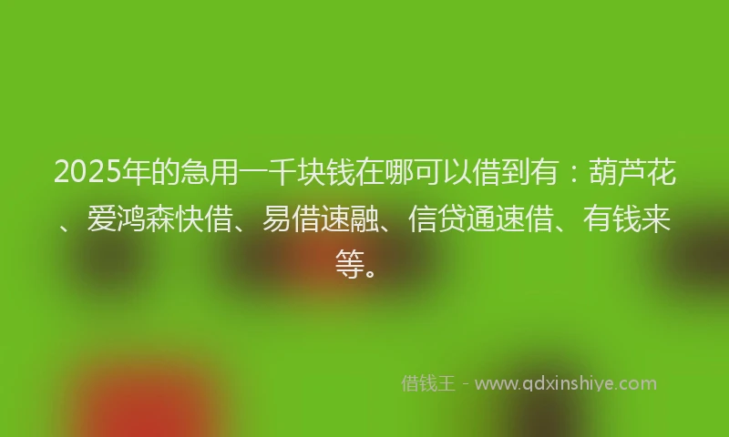2025年的急用一千块钱在哪可以借到有：葫芦花、爱鸿森快借、易借速融、信贷通速借、有钱来等。
