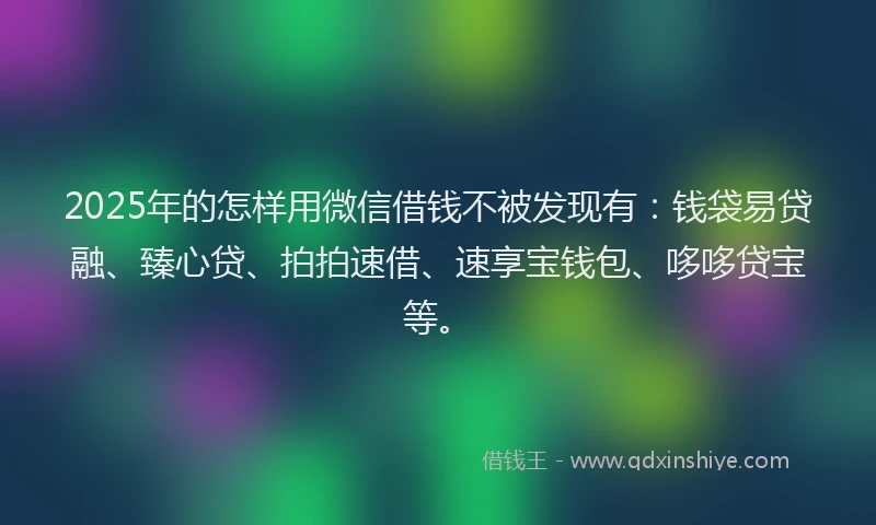 2025年的怎样用微信借钱不被发现有：钱袋易贷融、臻心贷、拍拍速借、速享宝钱包、哆哆贷宝等。