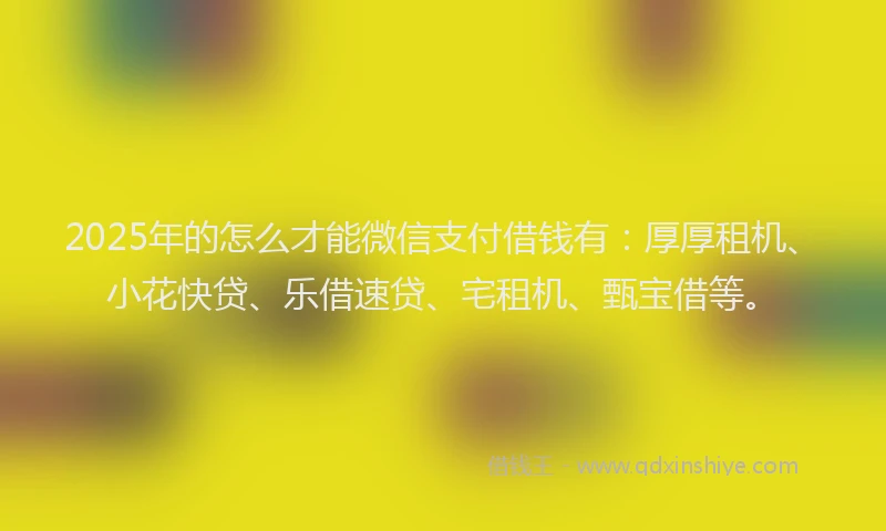 2025年的怎么才能微信支付借钱有：厚厚租机、小花快贷、乐借速贷、宅租机、甄宝借等。