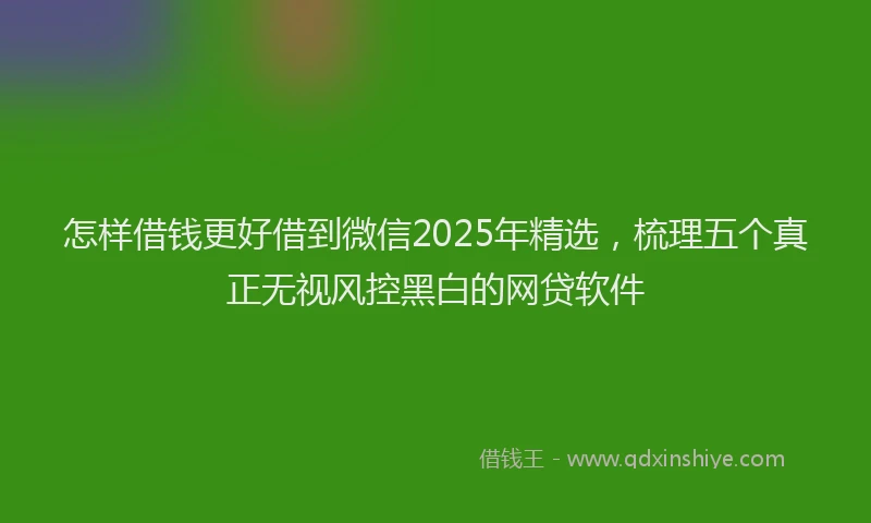 怎样借钱更好借到微信2025年精选，梳理五个真正无视风控黑白的网贷软件