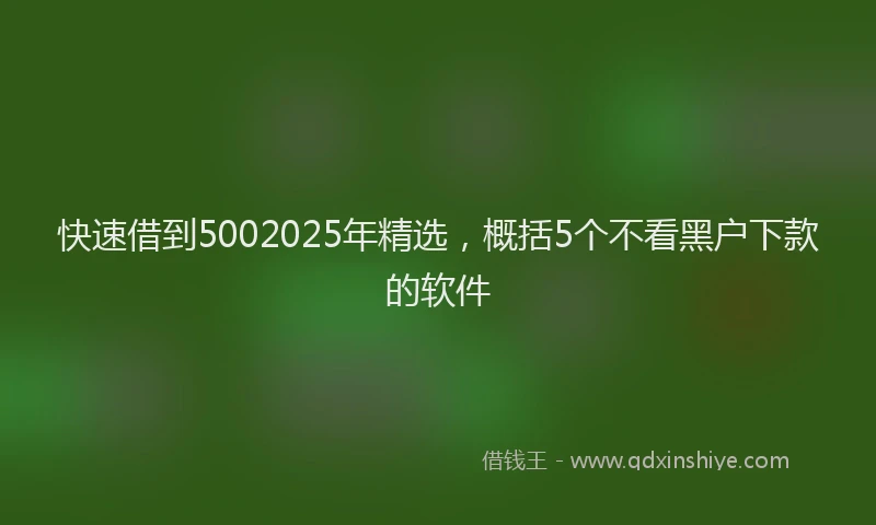 快速借到5002025年精选，概括5个不看黑户下款的软件