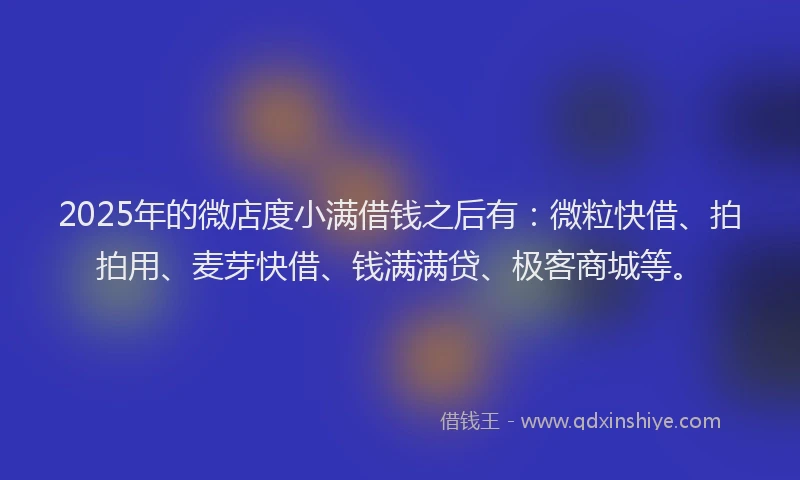 2025年的微店度小满借钱之后有：微粒快借、拍拍用、麦芽快借、钱满满贷、极客商城等。
