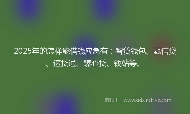 2025年的怎样能借钱应急有：智贷钱包、甄信贷、速贷通、臻心贷、钱站等。