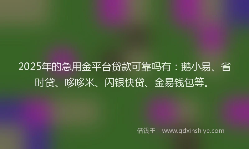 2025年的急用金平台贷款可靠吗有：鹅小易、省时贷、哆哆米、闪银快贷、金易钱包等。