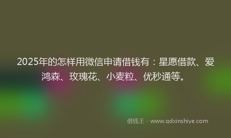 2025年的怎样用微信申请借钱有：星愿借款、爱鸿森、玫瑰花、小麦粒、优秒通等。