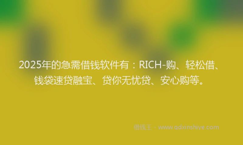 2025年的急需借钱软件有：RICH-购、轻松借、钱袋速贷融宝、贷你无忧贷、安心购等。