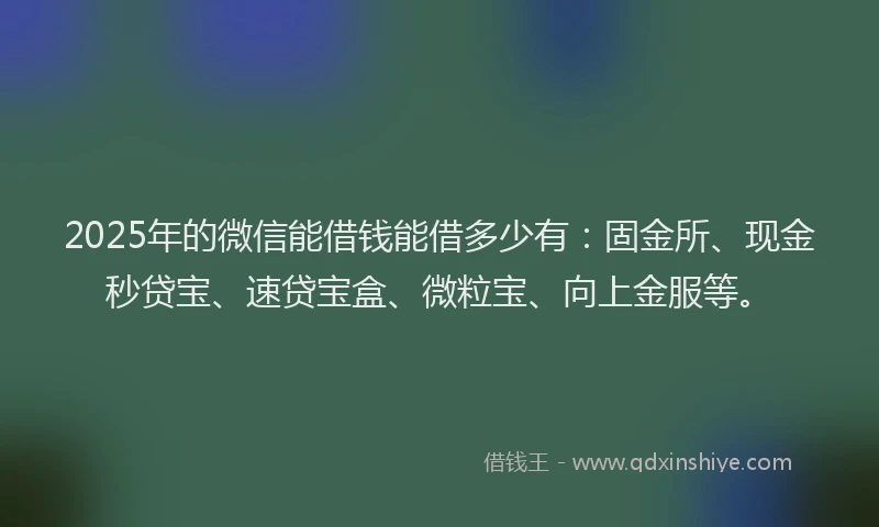 2025年的微信能借钱能借多少有：固金所、现金秒贷宝、速贷宝盒、微粒宝、向上金服等。