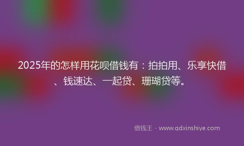 2025年的怎样用花呗借钱有：拍拍用、乐享快借、钱速达、一起贷、珊瑚贷等。